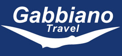 Maxi taxi partner - gabbiano travel